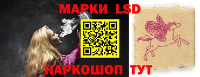 индика Рузаевка