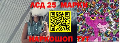 индика Рузаевка