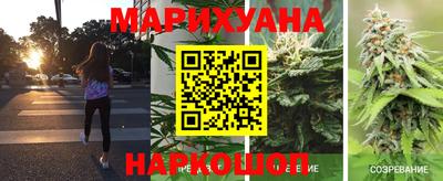 индика Рузаевка