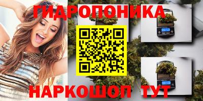 индика Рузаевка