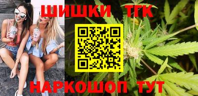 индика Рузаевка