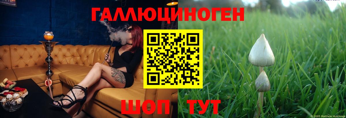 Сухой Лог  Псилоцибиновые грибы мицелий  Вход с VPN 